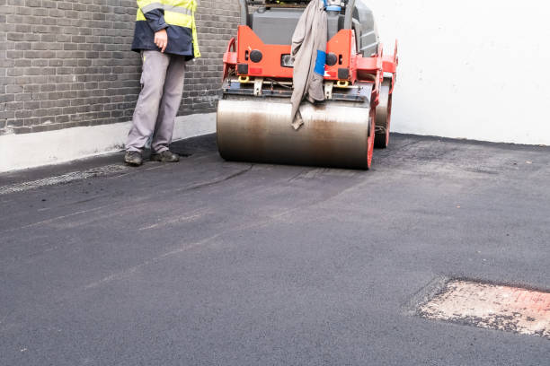 Best Driveway Grading and Leveling  in Fredonia, NY